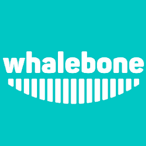 whalebone_2.300x300.png